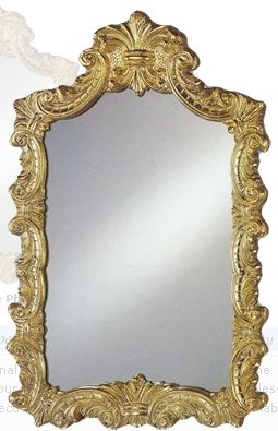 Afina Timeless Traditional 20" x 32" Wall Mirror