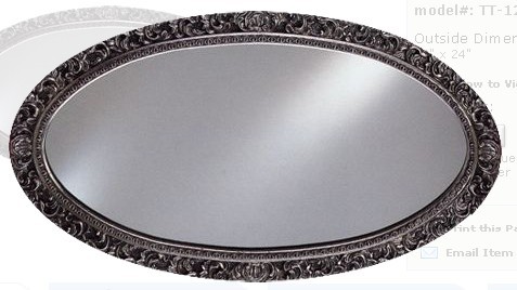Afina Timeless Traditional 42 x 24" Wall Mirror
