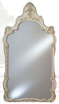 Afina Timeless Traditional 26 x 47" Wall Mirror