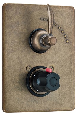 Fusion Tai Chi Thermostatic Control Valve