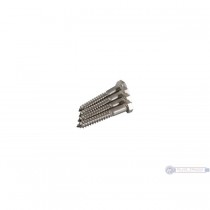 Leatherneck 0316-0096 4-1/2" Mounting Screw for 142 Flat Track Stainless